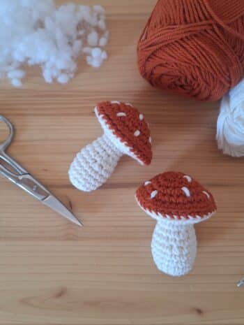 tuto champignon en crochet